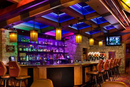 Quầy bar 2016